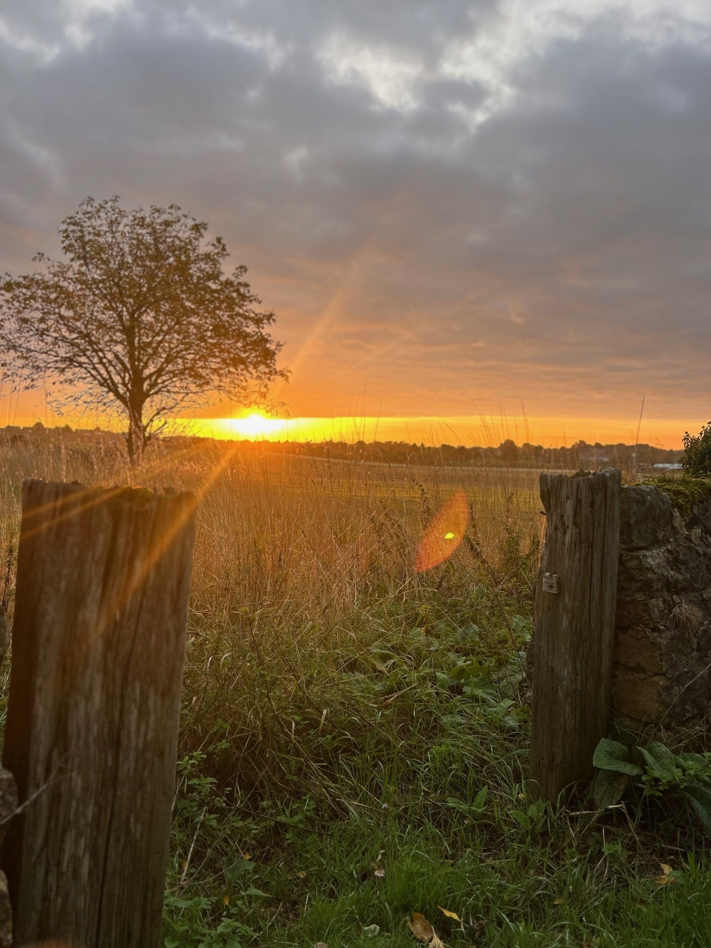 Beautiful sunset over countryside fields